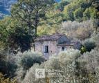 Casa, OMIGNANO, 58.000 €, 115,00 mq