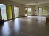 Superfici commerciali, LUCCA, Arancio, 850.000 €, 970,00 mq