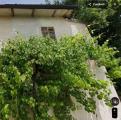 Casa, CARPINETI, 30.000 €, 59,00 mq