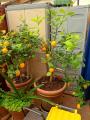 Appartamento, MONTESPERTOLI, 190.000 €, 70,00 mq