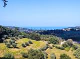 Casa, FANO, 320.000 €, 314,00 mq