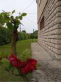 Casa, MAROSTICA, 350.000 €, 264,00 mq