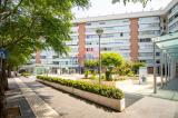 Appartamento, ROMA, Casal Bertone, 299.000 €, 62,00 mq