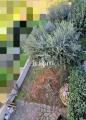 Appartamento, SIGNA, 279.000 €, 115,00 mq
