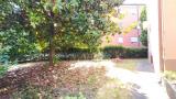Appartamento, PADOVA, Brusegana, 203.000 €, 170,00 mq