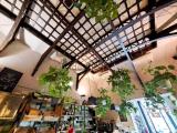 Superfici commerciali, TERNI, 295.000 €, 320,00 mq