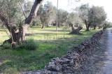 Casa, ORIA, 70.000 €, 55,00 mq