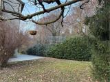 Appartamento, COMO, 240.000 €, 110,00 mq
