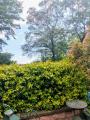 Appartamento, MONCALIERI, 259.000 €, 127,00 mq