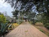 Casa, TERLIZZI, 200.000 €, 87,00 mq