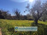 Casa, ORTONA, 75.000 €, 70,00 mq
