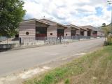 Superfici commerciali, CASTELFIORENTINO, 410.000 €, 778,00 mq