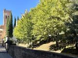 Appartamento, SAN MINIATO, 220.000 €, 140,00 mq