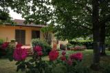 Casa, SIGNA, 970.000 €, 373,00 mq