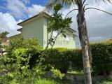 Casa, BIBBONA, 550.000 €, 280,00 mq