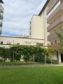 Appartamento, PIACENZA, 162.000 €, 60,00 mq
