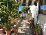 Appartamento, CECINA, 253.000 €, 127,00 mq