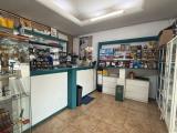 Superfici commerciali, VILLADOSE, 86.000 €, 21,00 mq