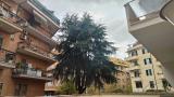 Appartamento, ROMA, 320.000 €, 85,00 mq