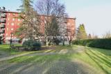 Appartamento, SEGRATE, 288.000 €, 90,00 mq