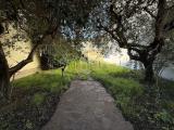 Casa, PRATO, 398.000 €, 250,00 mq