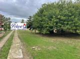 Appartamento, COMISO, 163.000 €, 150,00 mq