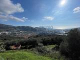 Casa, TAGGIA, 130.000 €, 50,00 mq