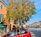 Appartamento, VERONA, San Zeno, 350.000 €, 125,00 mq