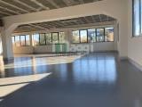 Superfici commerciali, SEGRATE, 1.800.000 €, 1520,00 mq