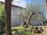 Casa, MONTESPERTOLI, 780.000 €, 450,00 mq