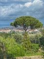 Appartamento, LIVORNO, 335.000 €, 100,00 mq
