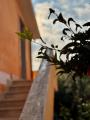 Appartamento, ARDEA, 150.000 €, 75,00 mq
