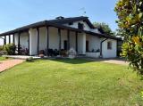 Casa, COLLOREDO DI MONTE ALBANO, 450.000 €, 312,00 mq