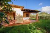 Casa, GAVORRANO, 275.000 €, 130,00 mq