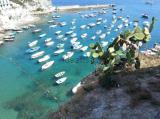 Superfici commerciali, PONZA, 3.900.000 €, 658,00 mq