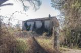 Casa, SUVERETO, 985.000 €, 1050,00 mq