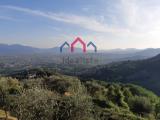 Casa, CAPANNORI, 130.000 €, 130,00 mq