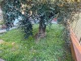 Appartamento, EMPOLI, 295.000 €, 130,00 mq