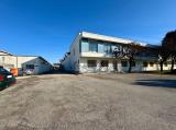 Superfici commerciali, MUSILE DI PIAVE, 2.340.000 €, 3850,00 mq