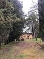Casa, SAN CASCIANO DEI BAGNI, 250.000 €, 220,00 mq
