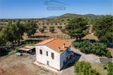 Casa, CAPALBIO, 1.200.000 €, 150,00 mq