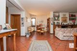 Casa, PISTOIA, 525.000 €, 160,00 mq