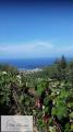Appartamento, MARCIANA, 125.000 €, 23,00 mq