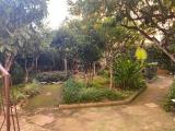 Appartamento, PALERMO, Montegrappa, 400.000 €, 180,00 mq