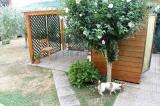 Casa, ORVIETO, 140.000 €, 75,00 mq