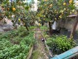 Casa, ERICE, 70.000 €, 65,00 mq