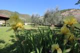 Appartamento, SAN GIULIANO TERME, 225.000 €, 90,00 mq