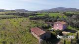 Casa, CAPALBIO, 1.380.000 €, 295,00 mq
