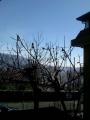 Appartamento, AIRUNO, 80.000 €, 75,00 mq