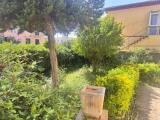 Casa, LIVORNO, 320.000 €, 160,00 mq